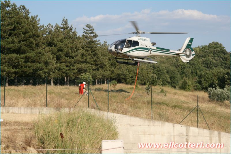 elifoto (153)